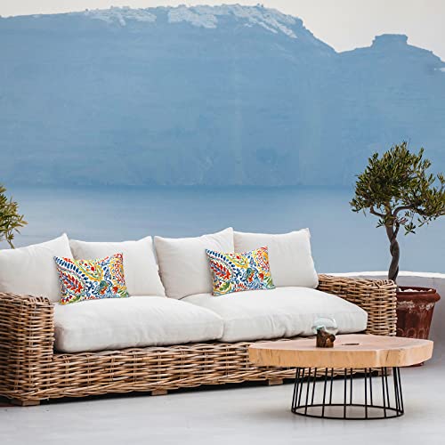 LVTXIII Set of 2 Patio Lumbar Pillows, 12”x20” Fade Resistant Outdoor Lumbar Pillow with Inners, Fluffy Decorative Garden Lumbar Cushions for Home Patio Coach Sofa Use, Paisley Multi - Image 5
