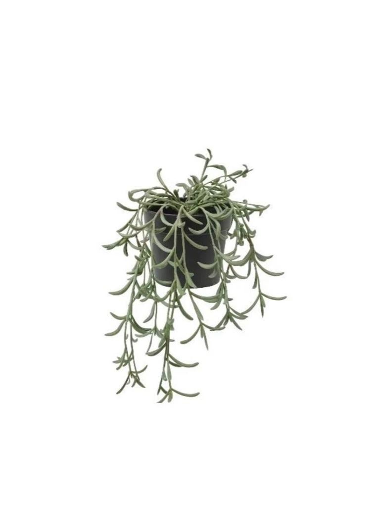 Nine cm Artificial Hanging Plant in Pot - Image 1
