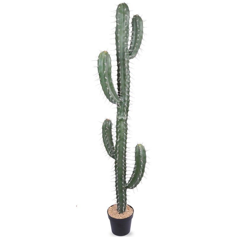 Huisezing Huisezing Artificial Cactus Fake Cacti 62 Faux Potted Cactus Plants for Home Store Office Decoration 