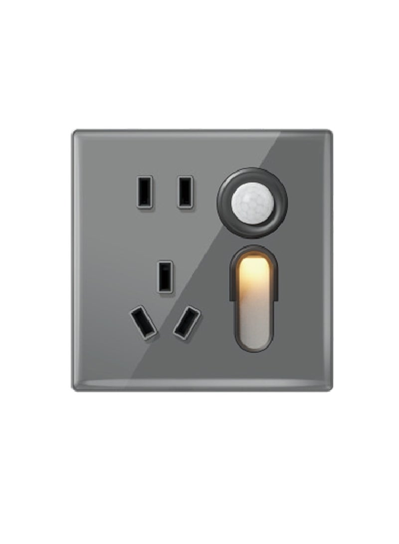 Domestic socket (induction foot lamp with two or three pole socket) 