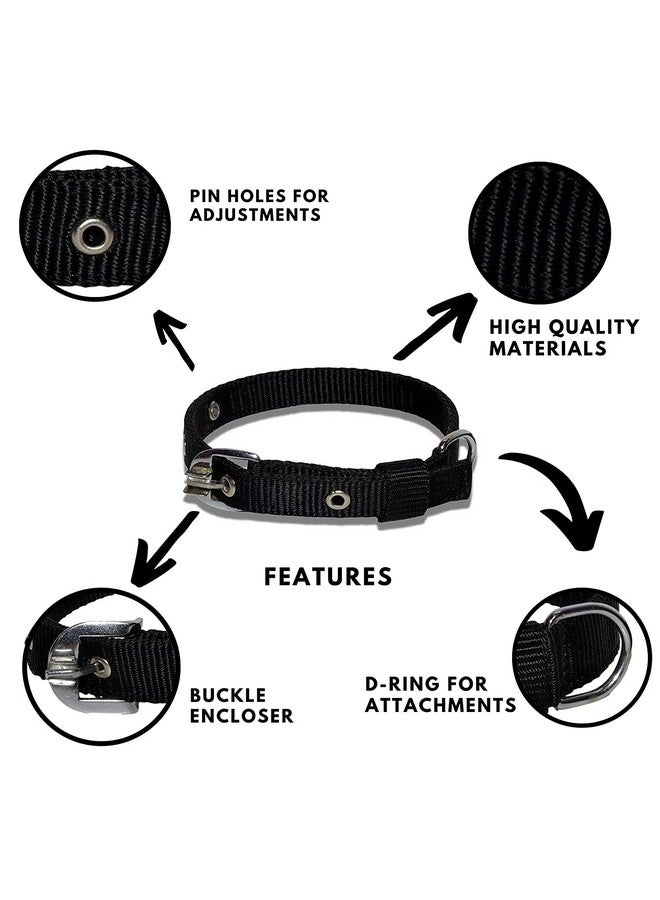 طوق نايلون للكلاب قابل للتعديل 1 بوصة أسود - Image 4