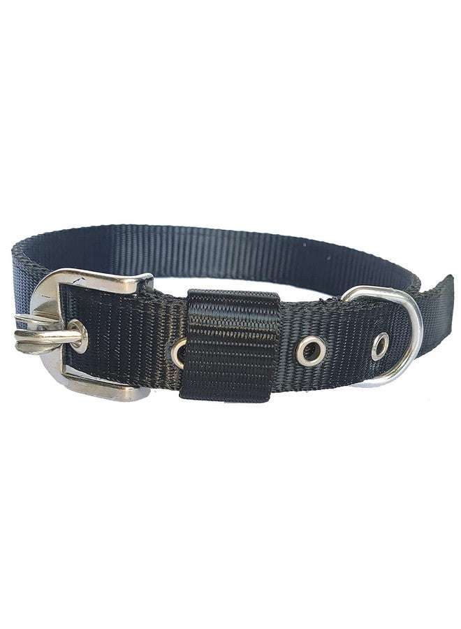طوق نايلون للكلاب قابل للتعديل 1 بوصة أسود - Image 1