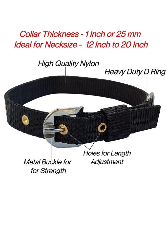 طوق نايلون للكلاب قابل للتعديل 1 بوصة أسود - Image 3