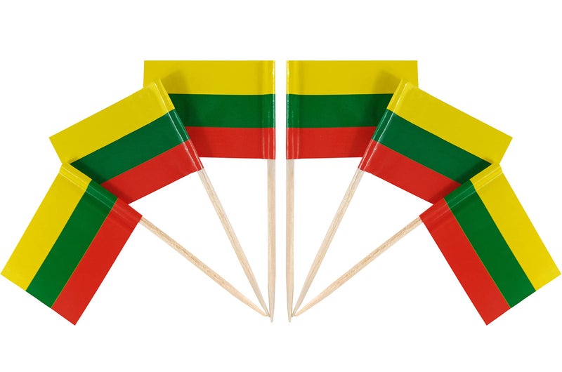QQSD Lithuania Toothpick Flag Lithuanian Small Mini Cupcake Topper Flags100 pcs - Image 2