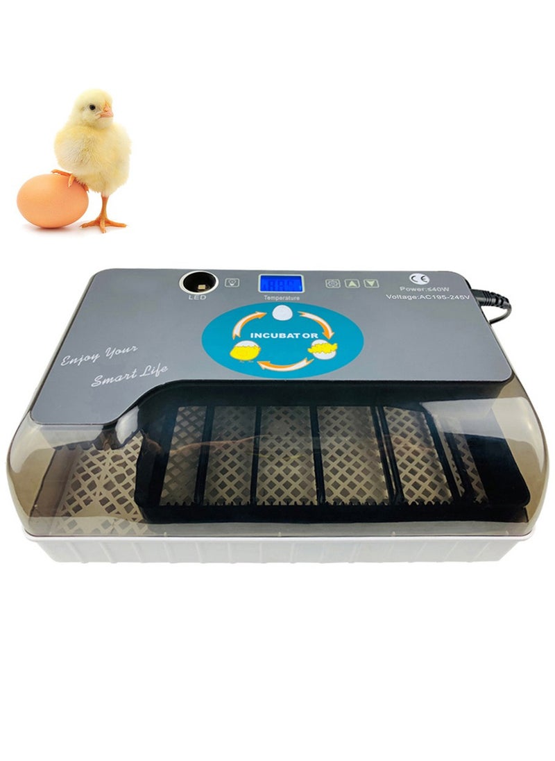 Digital Egg Incubator Automatic Eggs Hatcher with Eggtester Automatic Egg Turning 12 Eggs Poultry Hatcher - pzsku/Z83DC482906381692A107Z/45/_/1719806318/2ae71071-3c2c-4931-b3ee-fcc89644902b