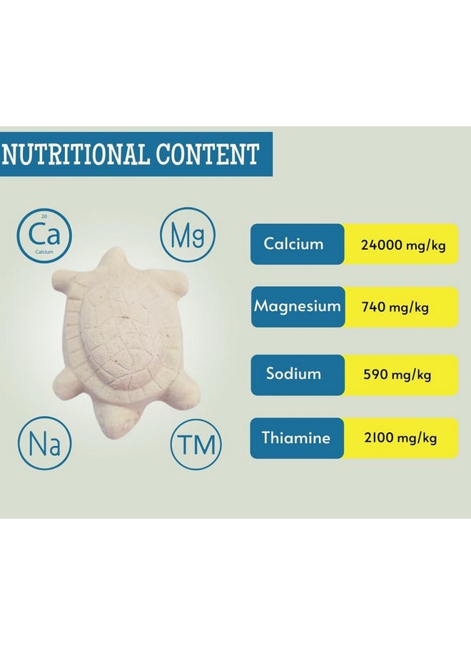 Generic - Turtle Conditioner (Pack Of 3) | Enriched With Calcium & Vitamin D3 | Prevent Bacteria Infection And Shell Softening | Suitable For Turtles And All Other Aquatic Reptiles - Image 1