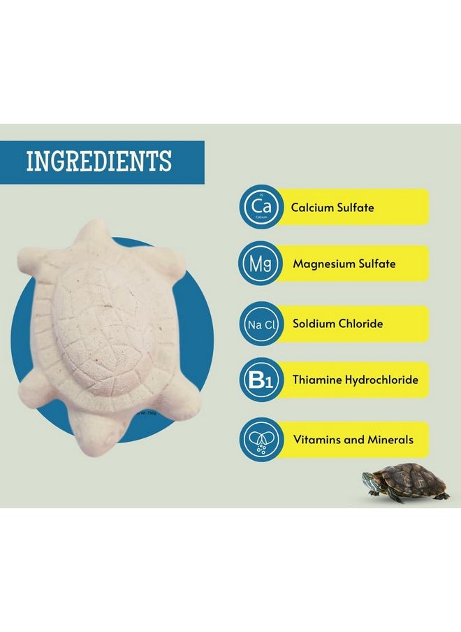Generic - Turtle Conditioner (Pack Of 3) | Enriched With Calcium & Vitamin D3 | Prevent Bacteria Infection And Shell Softening | Suitable For Turtles And All Other Aquatic Reptiles - Image 1