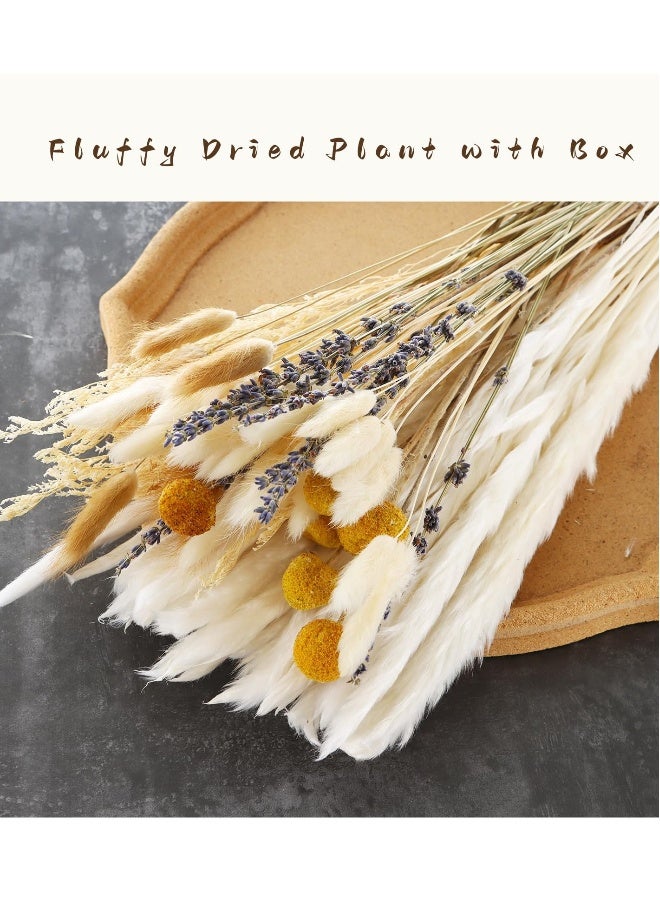 باقة من العشب الجاف الطبيعي 125 قطعة - 17 بوصة من العشب الوثير وعشب ذيل الأرنب لتزيين حفلات الزفاف، التصوير، الطراز الريفي، الزينة اليدوية، وترتيبات القصب. - Image 3