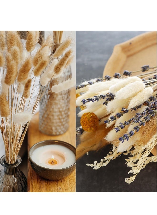 باقة من العشب الجاف الطبيعي 125 قطعة - 17 بوصة من العشب الوثير وعشب ذيل الأرنب لتزيين حفلات الزفاف، التصوير، الطراز الريفي، الزينة اليدوية، وترتيبات القصب. - Image 5