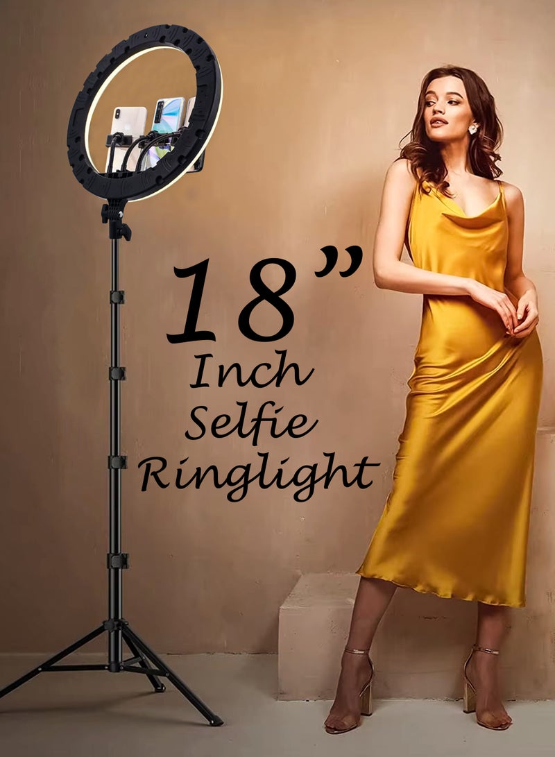 18 inch Dimmable Circle LED Studio Selfie Ring Light With 2.1 Meter Tripod Stand Remote And 3 Mobile Phone Holders For Makeup Camera Photography YouTube Video Shoot TikTok Vlog Live Stream Compatible - Image 1