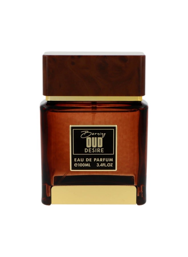 فلافيا عطر بيرننج عود ديزاير دومينانت كوليكشن للرجال أو دي بارفان 100 مل | تجسيد للرجولة والجاذبية - Image 3