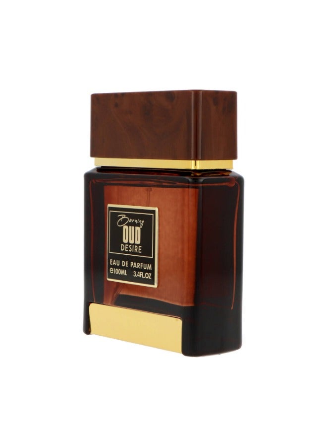 فلافيا عطر بيرننج عود ديزاير دومينانت كوليكشن للرجال أو دي بارفان 100 مل | تجسيد للرجولة والجاذبية - Image 4