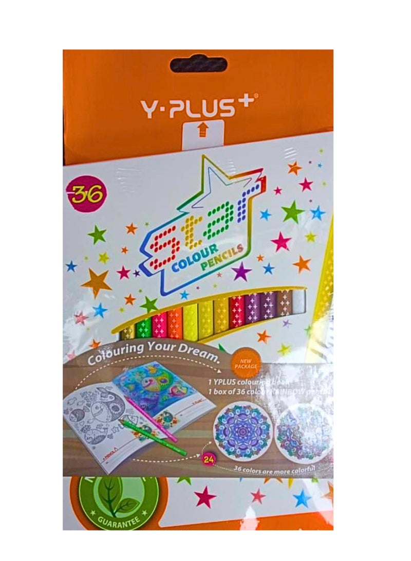 YPlus Color Pencil (Pack of 36 Pieces) - Image 2