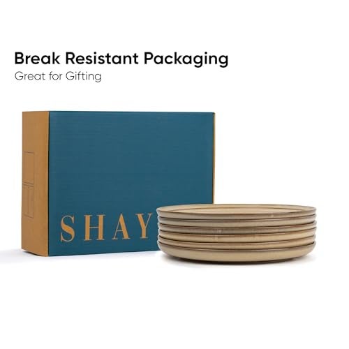 Shay Ceramic Dinner Plates Set of 6, Beige Reactive Glossy Finish (Dinner Plates, Beige Reactive) - Image 4