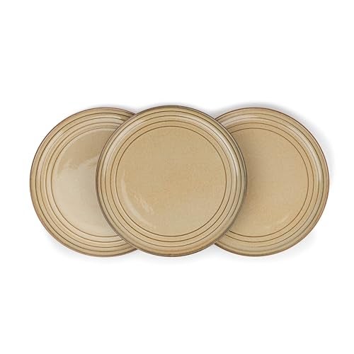Shay Ceramic Dinner Plates Set of 6, Beige Reactive Glossy Finish (Dinner Plates, Beige Reactive) - Image 5