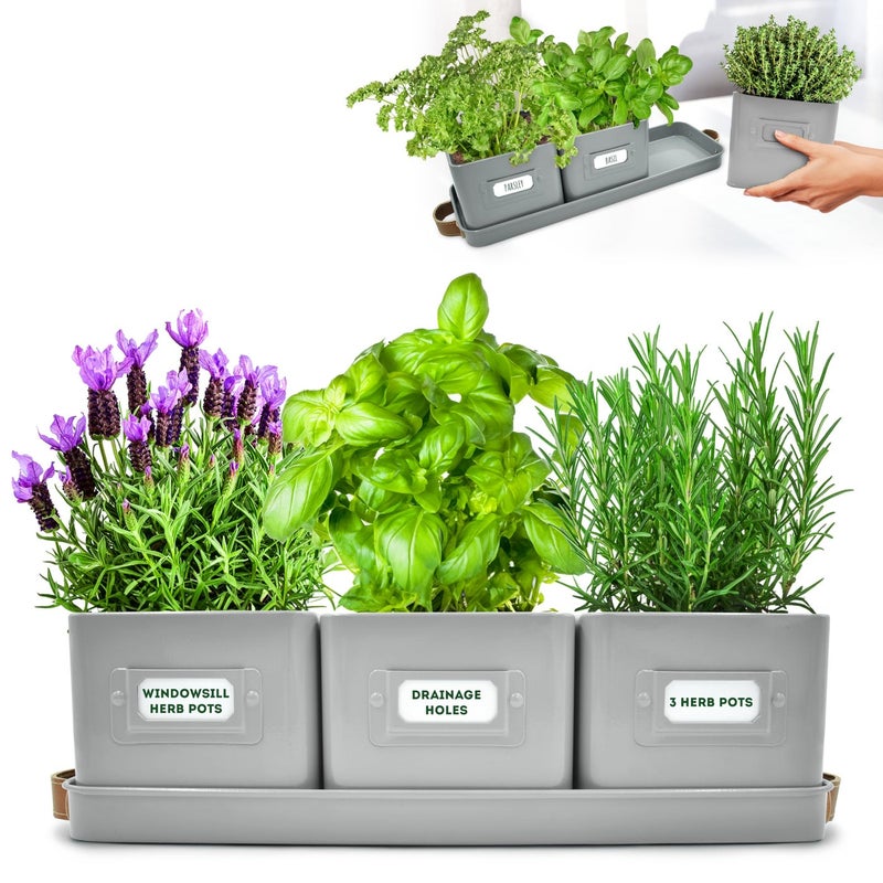 Herb Planter Indoor Set of 3 Grey Indoor Herb Garden Pots for Plants with Leather Handled Tray Window Sill Plant Shelf Herb Pots with Drainage Holes and Labels