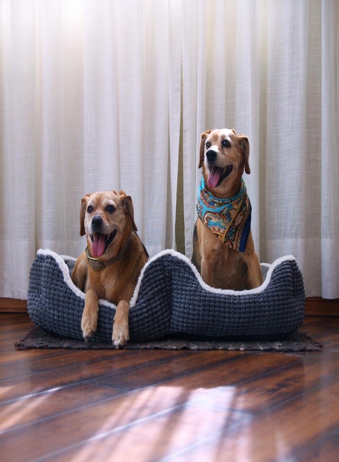 Puppy Bed for Small Dogs – Cat Bed for Indoor Cats - Dog Bed for 2 Dogs to Share – Completely Washabel Super Soft Pet Mat– Grey Puppy & Kitten Double Bed - Image 2