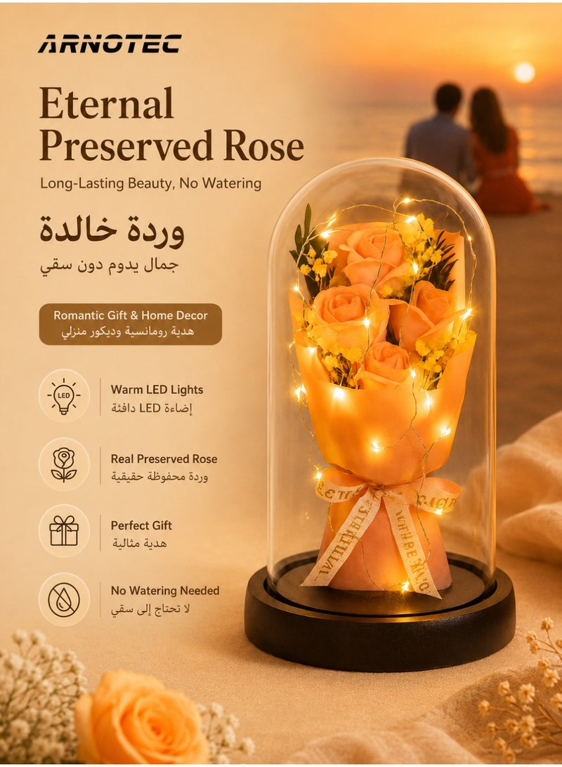 ARNOTEC صندوق هدايا الورد الأبدي - غطاء زجاجي مزين بإضاءة LED | هدية رومانسية ليوم الحب، عيد الميلاد، عيد الأم | باقة ورد وردية زينة إبداعية - Image 1
