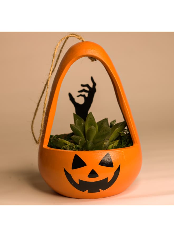 Decorative Handmade Pottery Plant Pot with natural cactus - orange - 18*10 cm