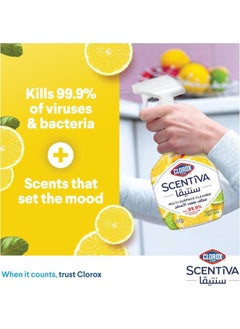 Clorox Multi Surface Cleaner Citrus Scent Pack Of 2 500ml  - Image 3
