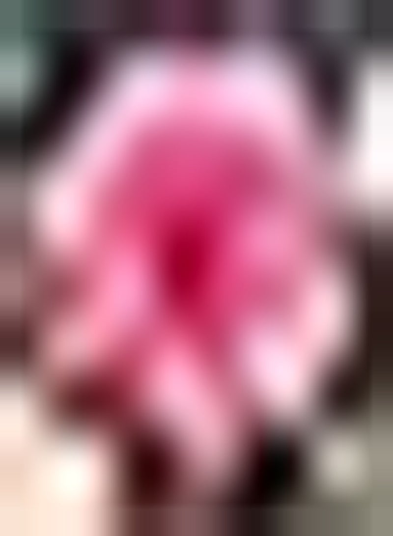 جي جوت 15 قطعة من بذور الكاميليا الوردية سهلة الزراعة في حديقة المنزل لتزيين سقف الشرفة بمعدل إنبات مرتفع، ديكور فني يدوي للحديقة - Image 2