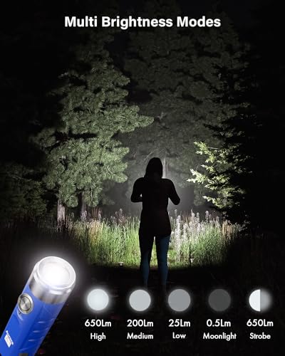 RovyVon Aurora A1 G4 USB C Rechargeable Mini Flashlight, Small Bright Keychain Flashlight 650 High Lumens EDC Flashlight Gadget with Clip for Camping, Hiking, Emergencies (Blue) - Image 3