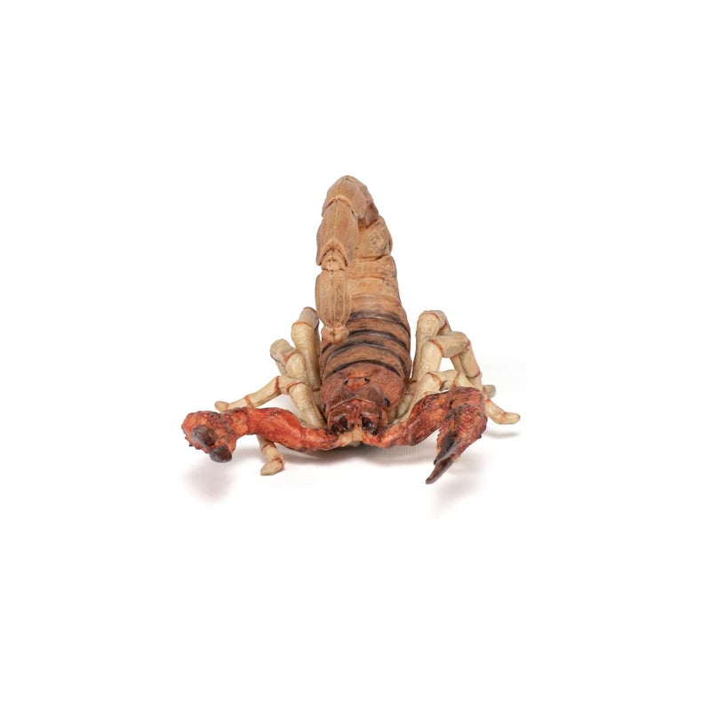 Papo - Scorpion Figurine - Desert Animal Toy for Kids Age 3+ - 11 cm Plastic Model with Pincers and Tail - Hand-Painted Wildlife Figure - Part of La Vie Sauvage - 50209 - Image 4