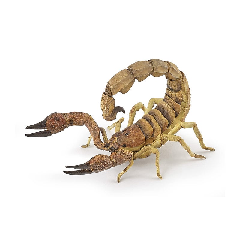 Papo - Scorpion Figurine - Desert Animal Toy for Kids Age 3+ - 11 cm Plastic Model with Pincers and Tail - Hand-Painted Wildlife Figure - Part of La Vie Sauvage - 50209 - Image 1