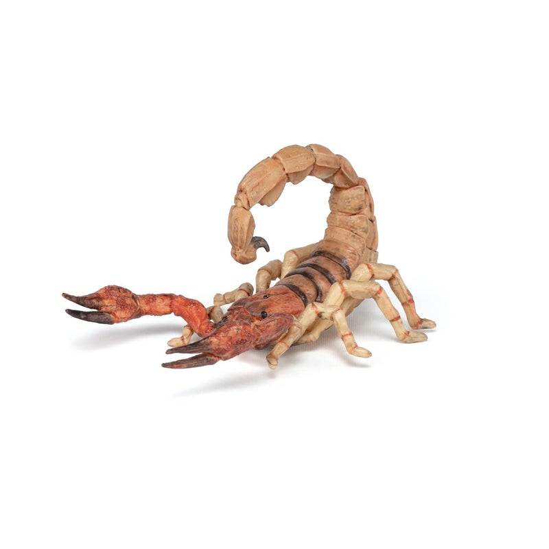 Papo - Scorpion Figurine - Desert Animal Toy for Kids Age 3+ - 11 cm Plastic Model with Pincers and Tail - Hand-Painted Wildlife Figure - Part of La Vie Sauvage - 50209 - Image 3