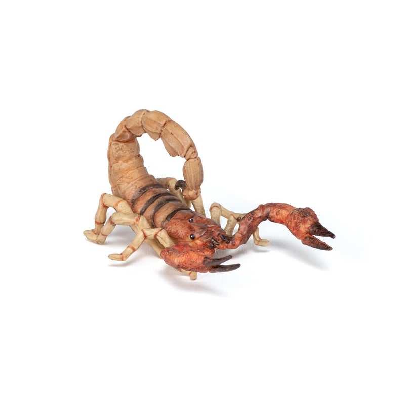 Papo - Scorpion Figurine - Desert Animal Toy for Kids Age 3+ - 11 cm Plastic Model with Pincers and Tail - Hand-Painted Wildlife Figure - Part of La Vie Sauvage - 50209 - Image 5