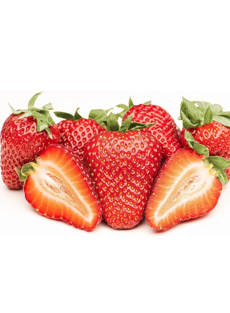 vsell24 10G Strawberry Seeds Home Garden Planting NON-GMO WIth With 99% Cleaness, 95% Purity, 90% Germination Rate  3Pack - Image 5