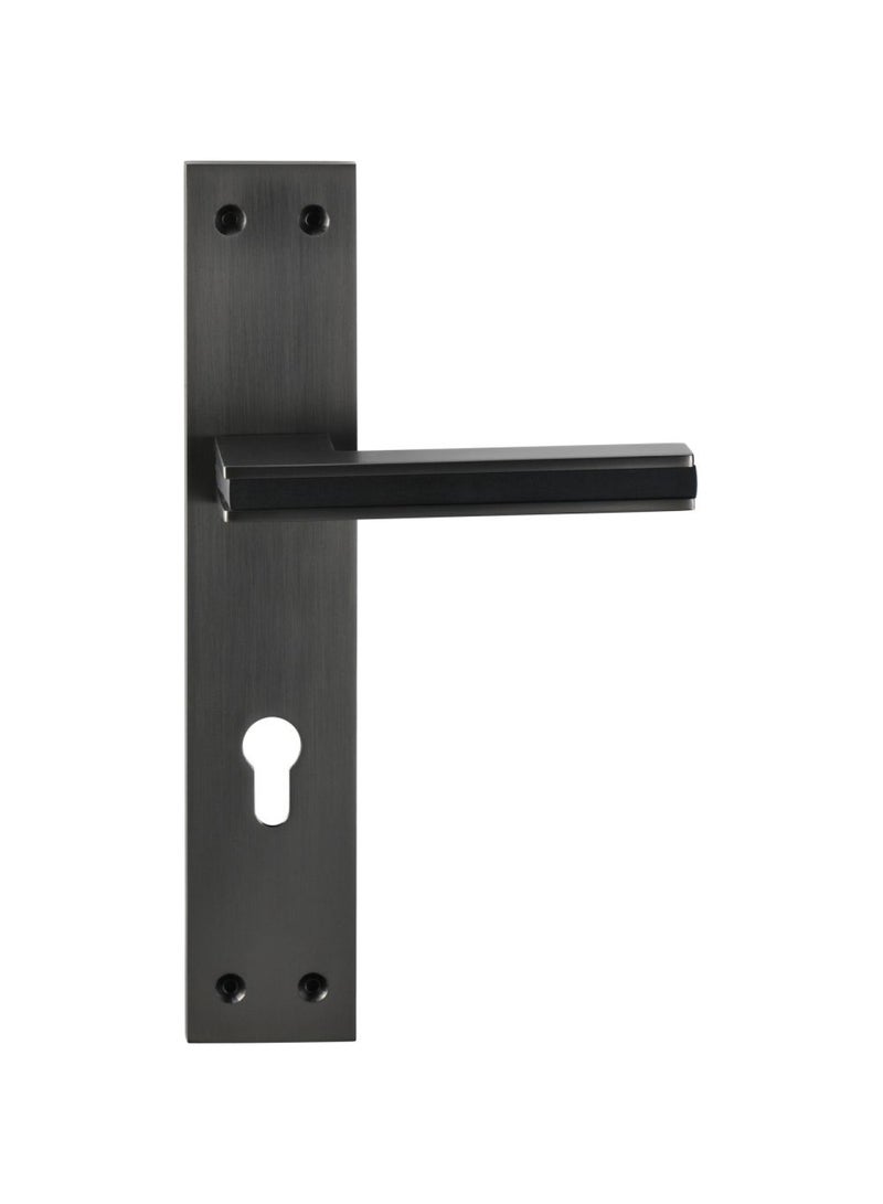Milano Za Tolly Lm665-927 Plate Handle Matte Black