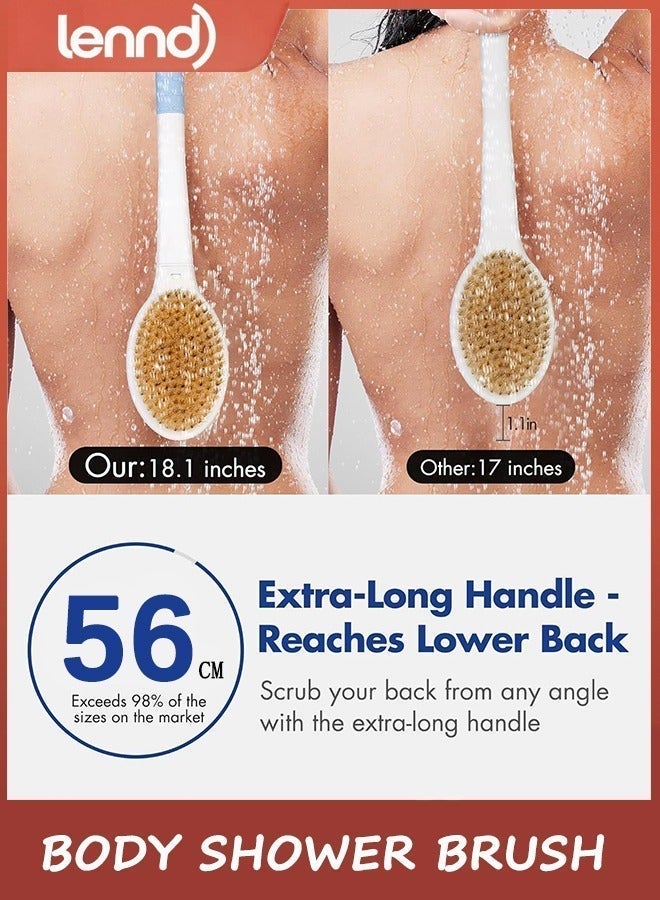 LENND Body Scrubber，Bathing Shower Brush Anti Slip Long Handle Bath Brush with Stiff and Soft Bristles - Showering Exfoliator Wet or Dry Brushing for Women, Men, Elderly (Blue) - Image 2