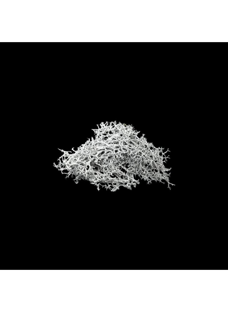 Dried Seaweed Gray 5 gr - pzsku/Z83F527FF5FD13A50882DZ/45/_/1730607587/289b5772-edbb-4b76-bca3-b7af69462be4