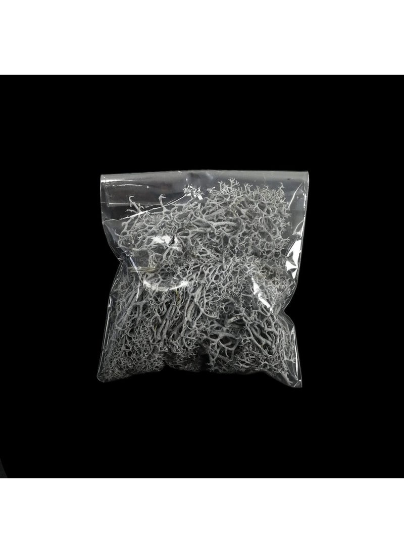 Dried Seaweed Gray 5 gr - pzsku/Z83F527FF5FD13A50882DZ/45/_/1730607597/a1cfa8dc-5660-4d96-88e0-cb9735444a75