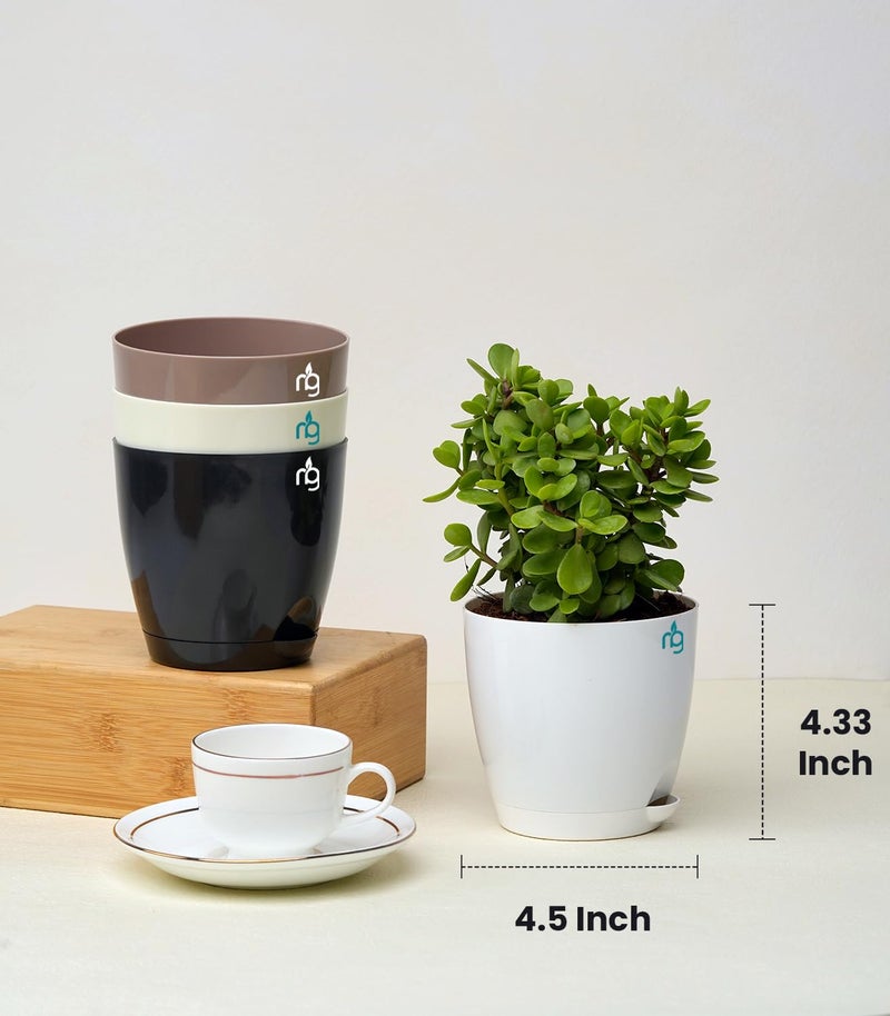 Nurturing Green® Combo of 4 Self Watering Flower Pots for Plants | Plastic Plant Pots | Planter Pots for Home, Indoor Living Room,Garden (Color: Assorted, Size: 11.5cm x 11cm Each) - Image 2