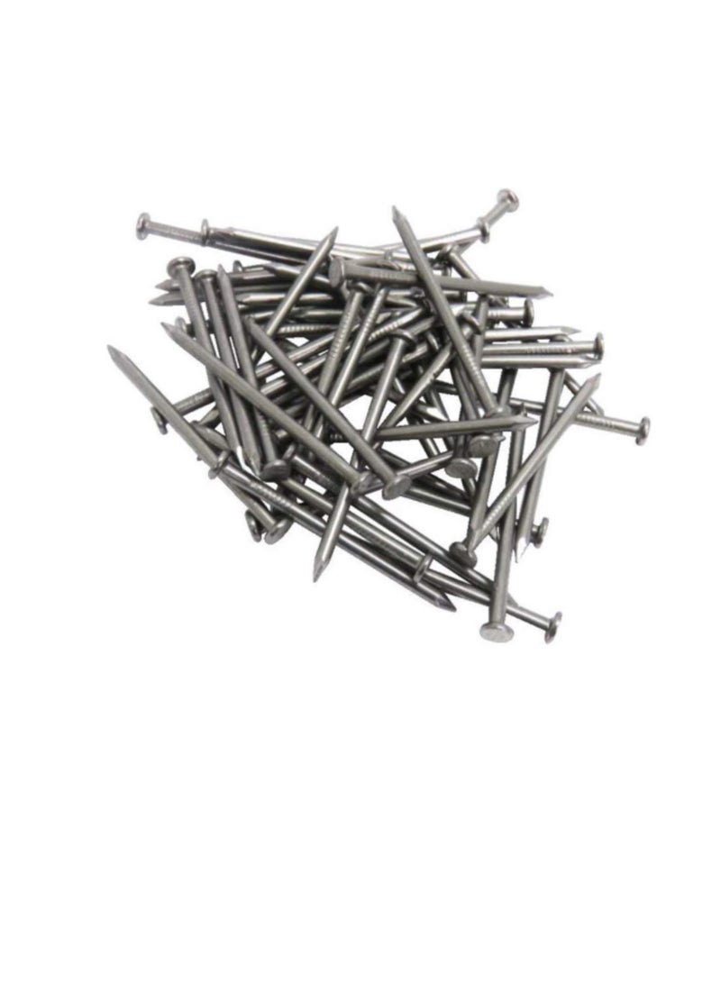 High Strength Round Head Nails For Carpentry Hardware Electrical Etc (300, 3/4 inch) - Image 1