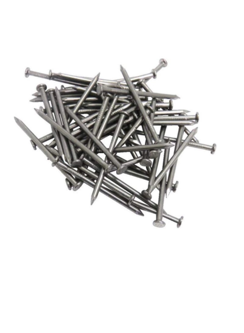 High Strength Round Head Nails For Carpentry Hardware Electrical Etc (300, 3/4 inch) - Image 3