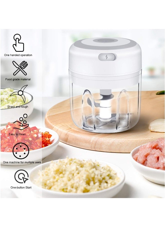 مطحنة ثوم كهربائية صغيرة، معالج طعام صغير، خلاط طعام محمول لاسلكي بتقنية الشحن USB، معالج غذائي صغير لفرم الفواكه والخضار والثوم والبصل (250 مل) - Image 2