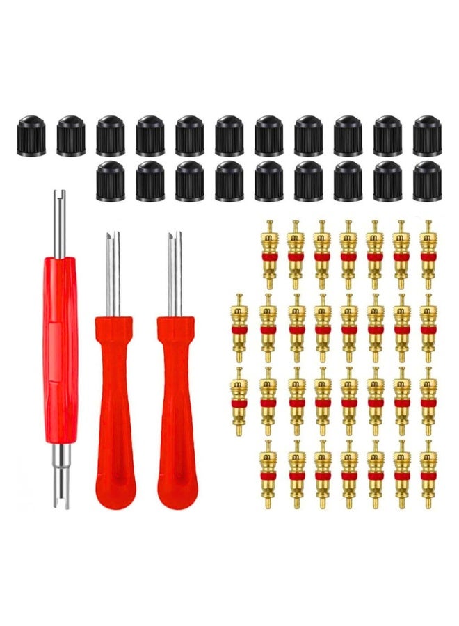 Valve Core Remover With 20Pcs Schrader Valve Cores Dual Single Head Valve Core Remover Tire Repair Tool, Red, Cartool01 - Image 1