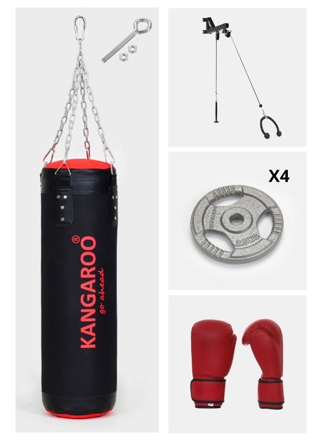 A boxing bag set with a pull-up device, a double weightlifting pulley with 360 degree control, 10 kg weights, and a boxing glove. Bundle 