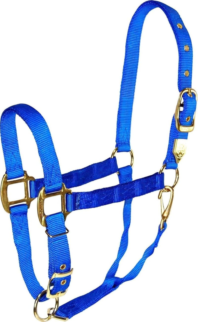 Hamilton 1-Inch Nylon Halter with Adjustable Chin, Blue - Average Size - Image 1