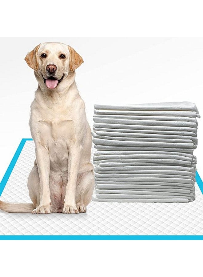 Dog Training Pee And Potty Pads With Quick Drying Surface And Absorbent Core Suitable For All Breed Puppies, Dogs & Cat- (Pack Of 10 Piece) Size- 60 × 90 - Image 1