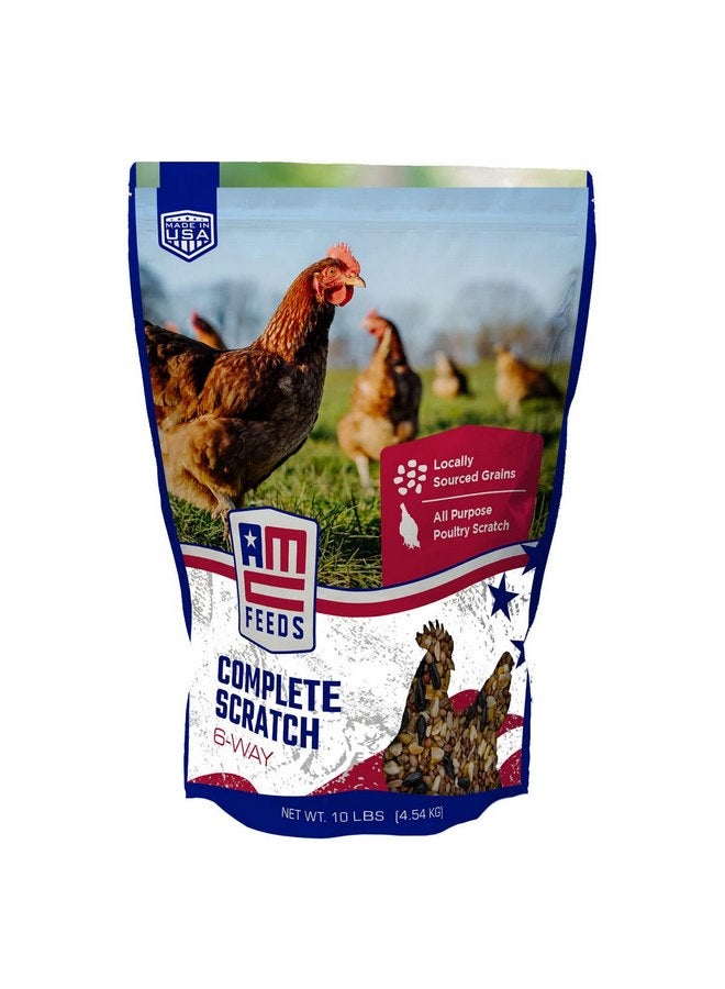 AMERICAN CLASSIC AMC Complete Chicken Scratch - Premium Blend of Grains for Chickens, Ducks, Turkeys, Geese & Gamebirds - Healthy & Nutritious Flock Feed - 10 Pound Bag - Image 1
