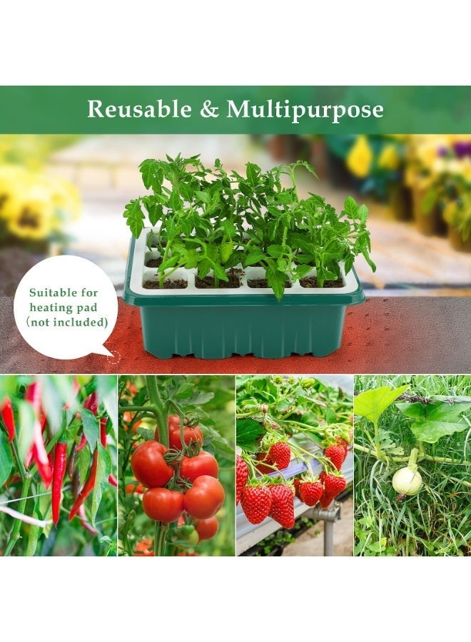 طقم زراعة منزلي 12 خانة للشتلات مع قاعدة سيليكون مرنة وغطاء رطوبة بارتفاع 4.33 إنش (11 سم) – صينية إنبات قابلة لإعادة الاستخدام للزراعة المنزلية - Image 4