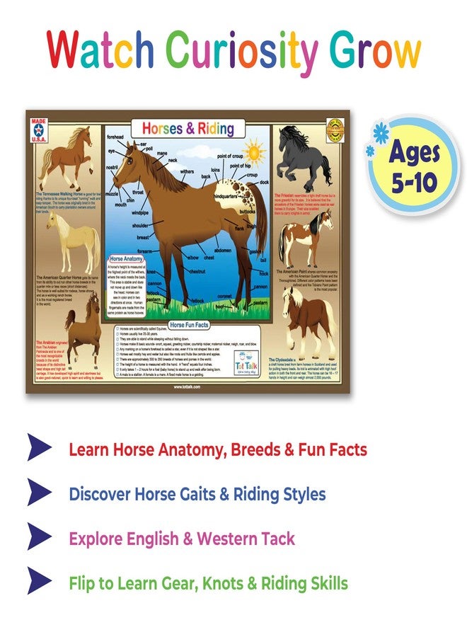 Tot Talk Horses and Riding Educational Placemat for Kids – Made in USA – Durable, Double-Sided, Placemat with Horse Breeds, Facts, Riding Styles & More – Waterproof, Wipeable, 17.5” x 11.5” - Image 2