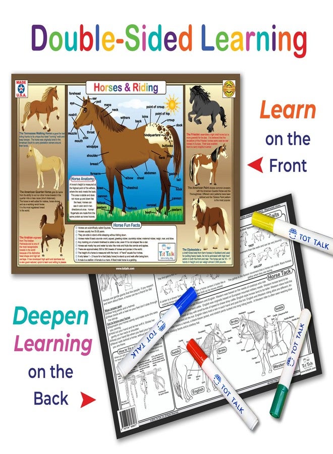 Tot Talk Horses and Riding Educational Placemat for Kids – Made in USA – Durable, Double-Sided, Placemat with Horse Breeds, Facts, Riding Styles & More – Waterproof, Wipeable, 17.5” x 11.5” - Image 4
