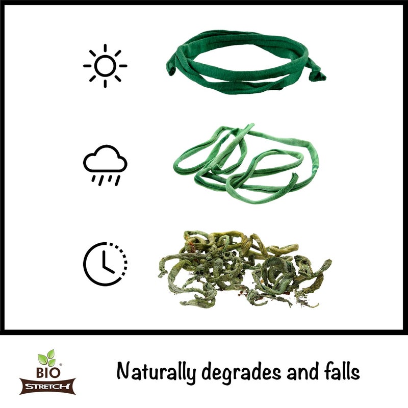 Biostretch Extra Wide Soft Tree Ties - Strong & Stretchy Support for Large Plants & Young Trees - Cut-to-Length Green Garden Tape for Home & Professional Gardening (26 ft / 8M) - Image 4