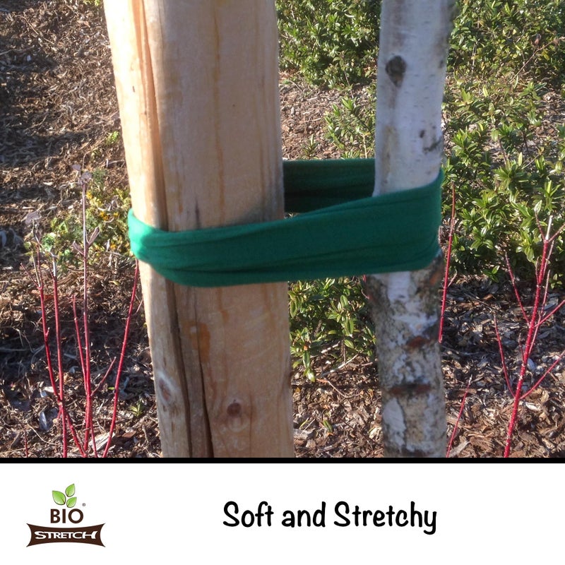 Biostretch Extra Wide Soft Tree Ties - Strong & Stretchy Support for Large Plants & Young Trees - Cut-to-Length Green Garden Tape for Home & Professional Gardening (26 ft / 8M) - Image 3