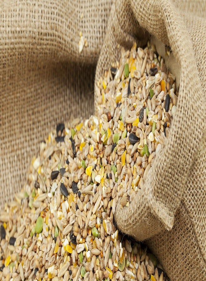 Siddhi Bird Feeder Mixed Seed Bird Food (5 KG) - Image 1